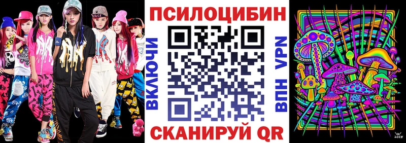 цены наркотик  Североуральск  Псилоцибиновые грибы мицелий 